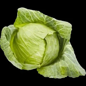 Cabbage Head