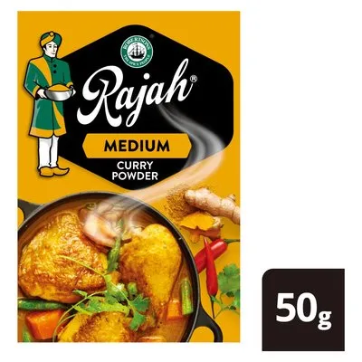 Robertsons Rajah Medium Curry Powder