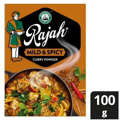 Robertsons Rajah Mild & Spicy Curry Powder